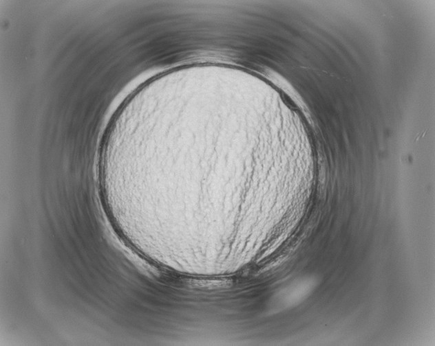 X0000085781339200704131819