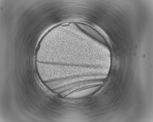 X0000085781340200704131819