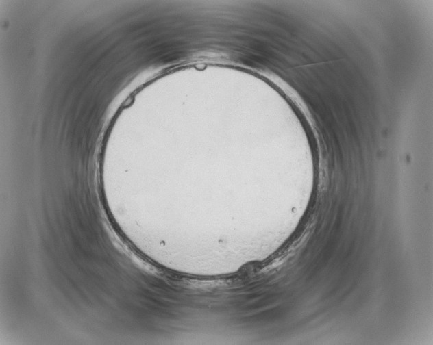 X0000085781341200704131819