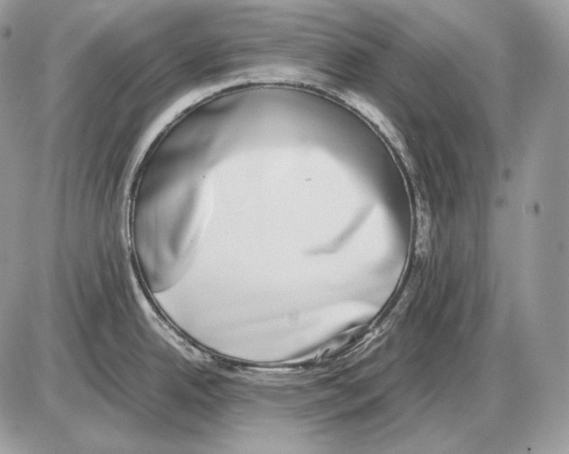 X0000085781342200704131819