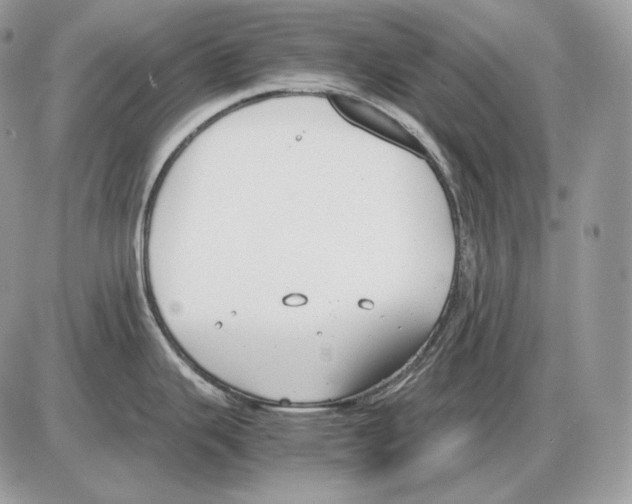 X0000085781343200704131819