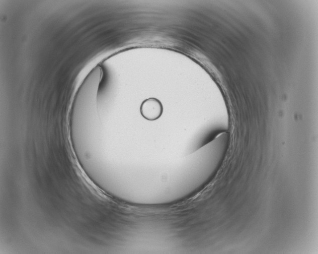 X0000085781344200704131819