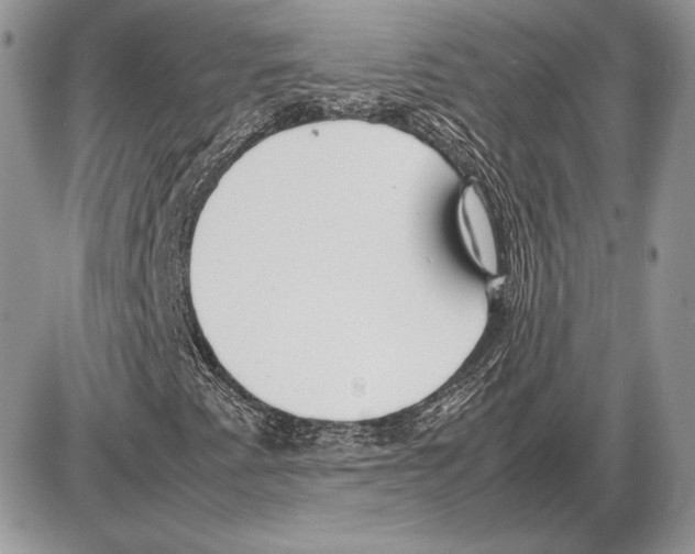 X0000085781345200704131818