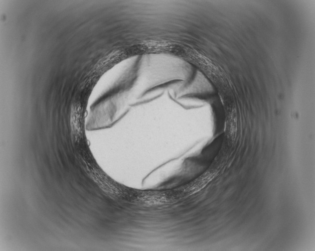 X0000085781346200704131818