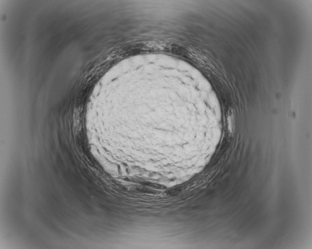 X0000085781347200704131818