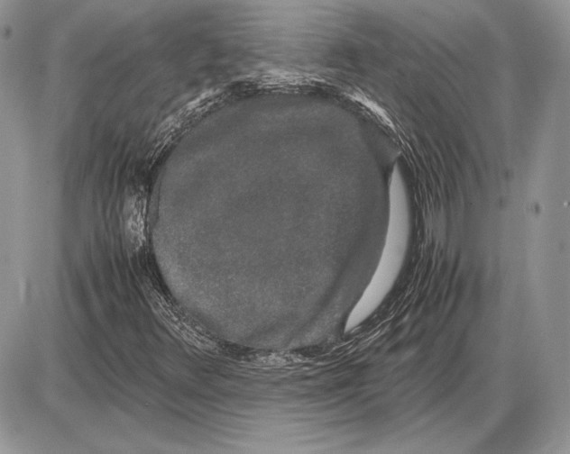 X0000085781348200704131818