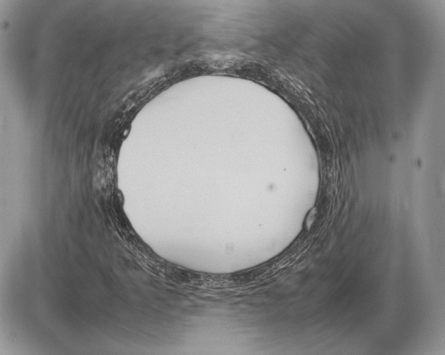 X0000085781349200704131818