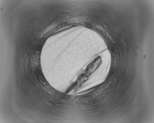 X0000085781350200704131818