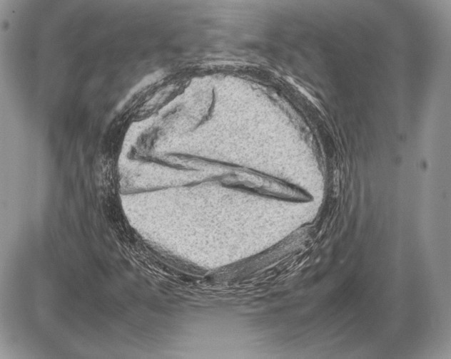 X0000085781351200704131818