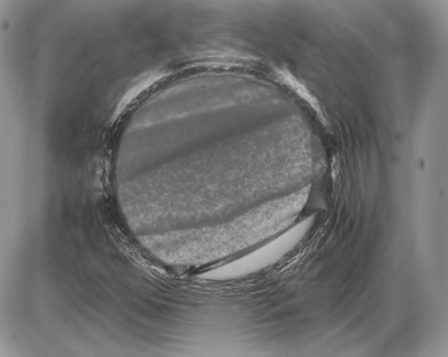 X0000085781352200704131818