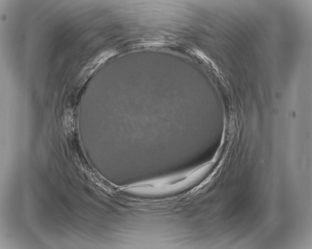 X0000085781353200704131818