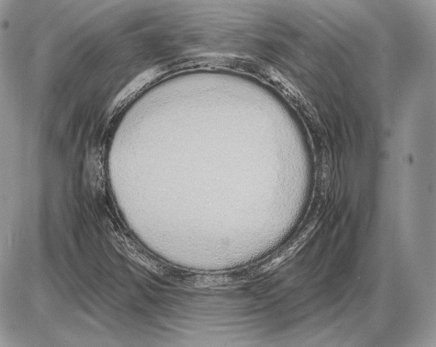 X0000085781354200704131818