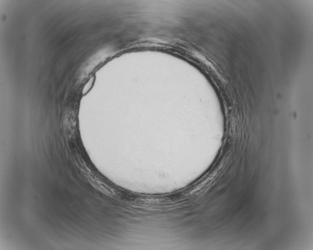 X0000085781355200704131818