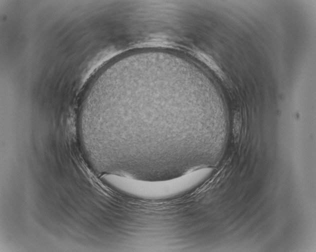 X0000085781356200704131818