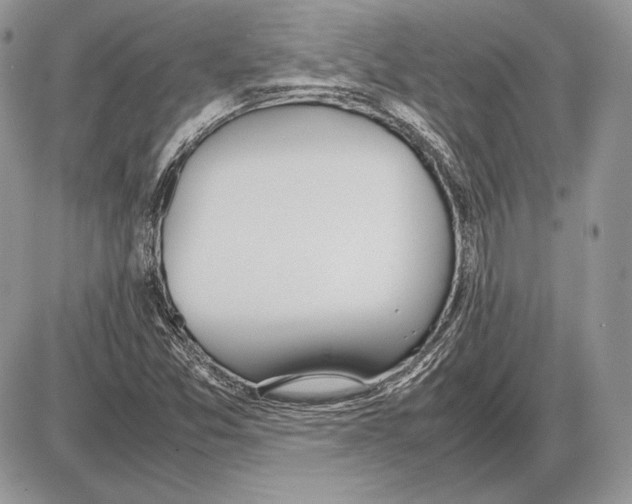 X0000085781357200704131818