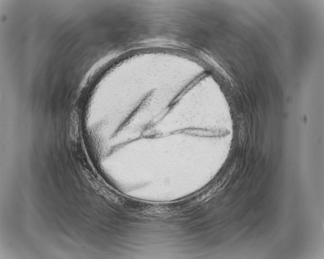 X0000085781358200704131818