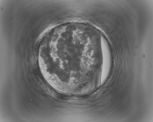 X0000085781359200704131818