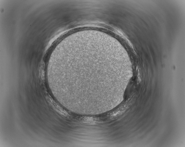 X0000085781360200704131818