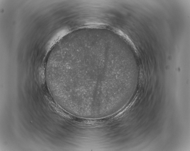 X0000085781362200704131818