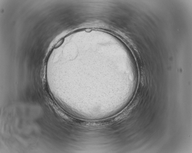 X0000085781366200704131818