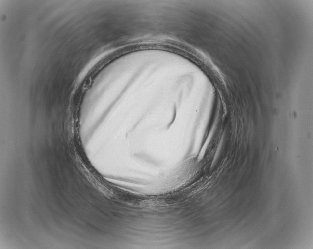 X0000085781368200704131818