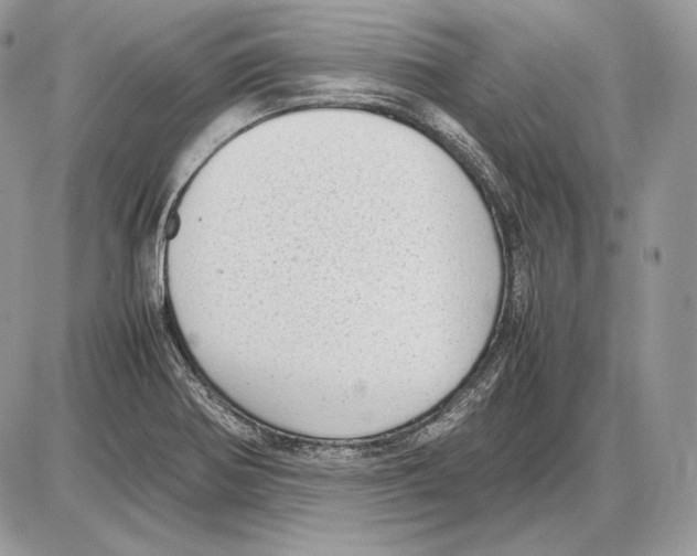 X0000085781370200704131818