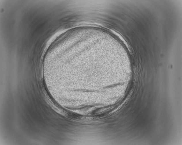 X0000085781371200704131818