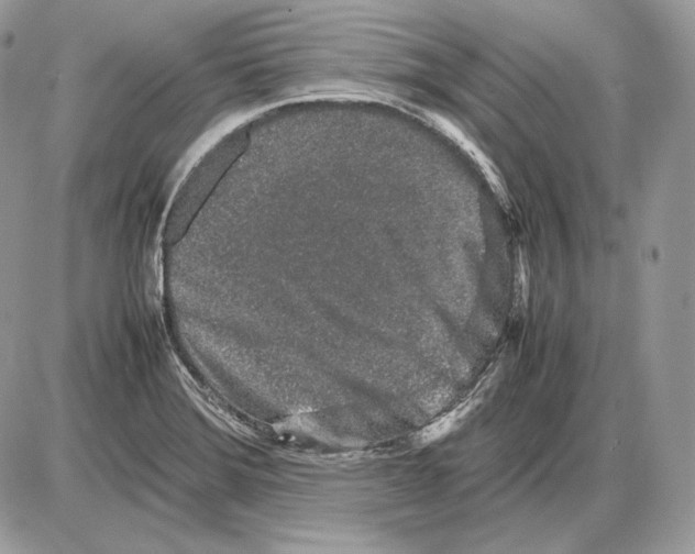 X0000085781372200704131818