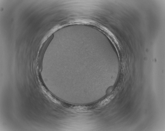 X0000085781373200704131818