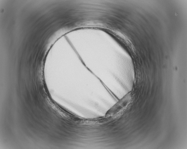 X0000085781374200704131818