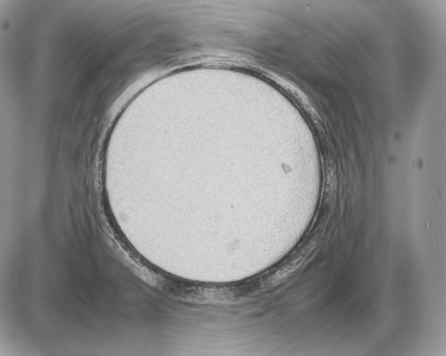 X0000085781375200704131818