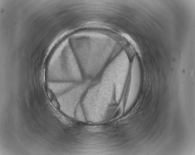 X0000085781376200704131818