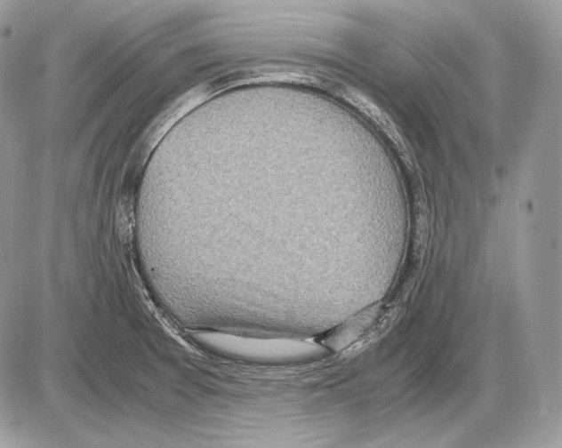 X0000085781377200704131818