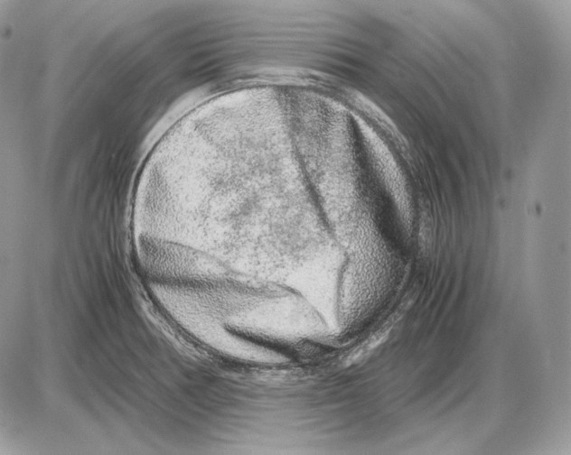 X0000085781378200704131818