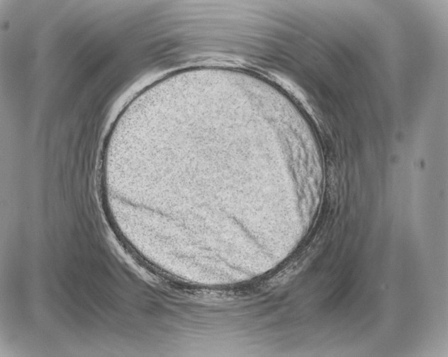 X0000085781379200704131818