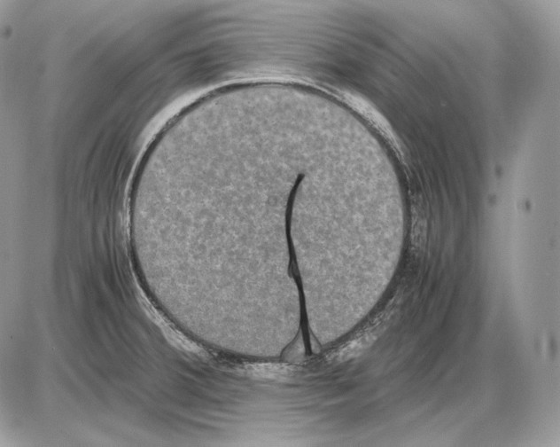 X0000085781380200704131818