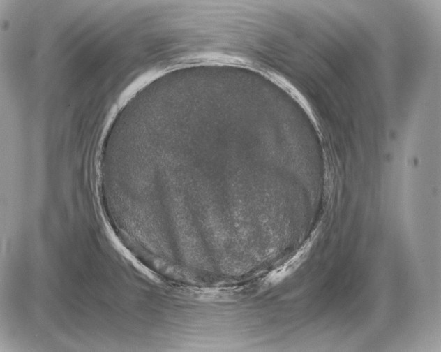 X0000085781381200704131818