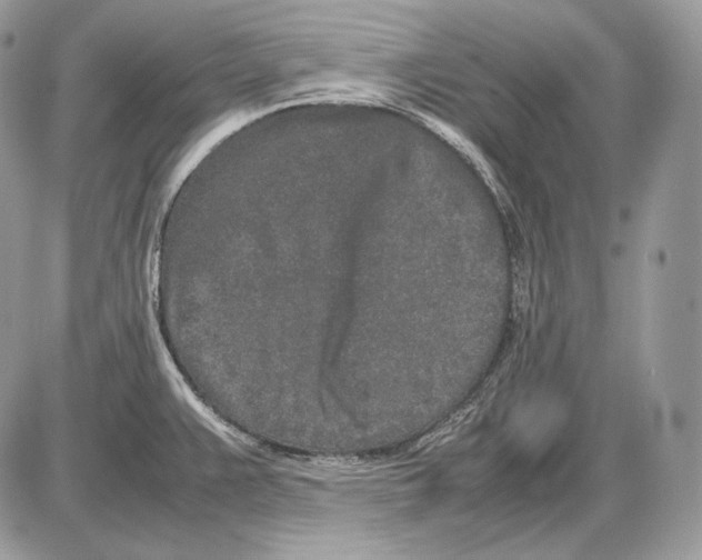 X0000085781383200704131818