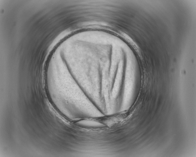 X0000085781384200704131818