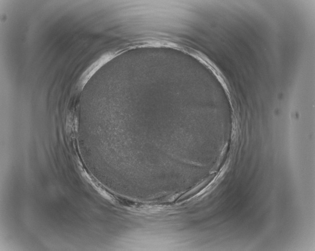 X0000085781385200704131818