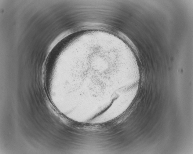 X0000085781386200704131818