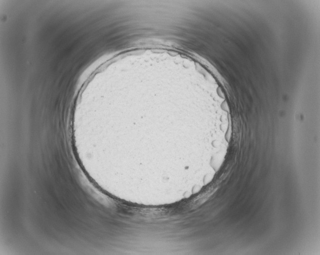 X0000085781387200704131818