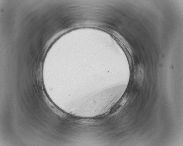 X0000085781388200704131818