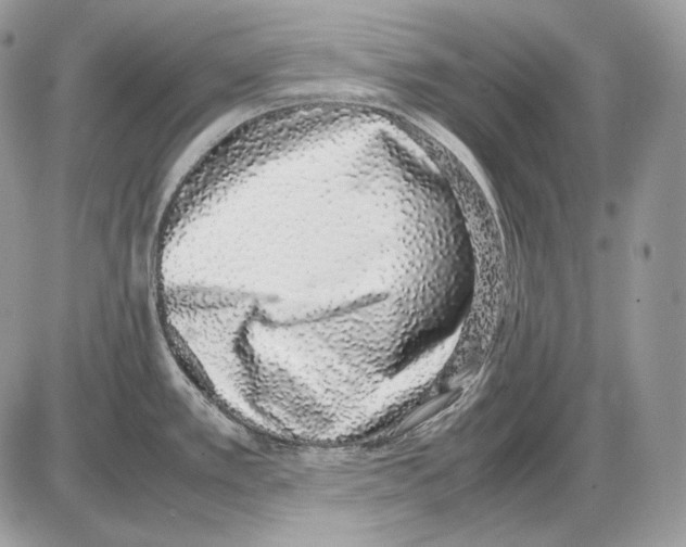 X0000085781389200704131818