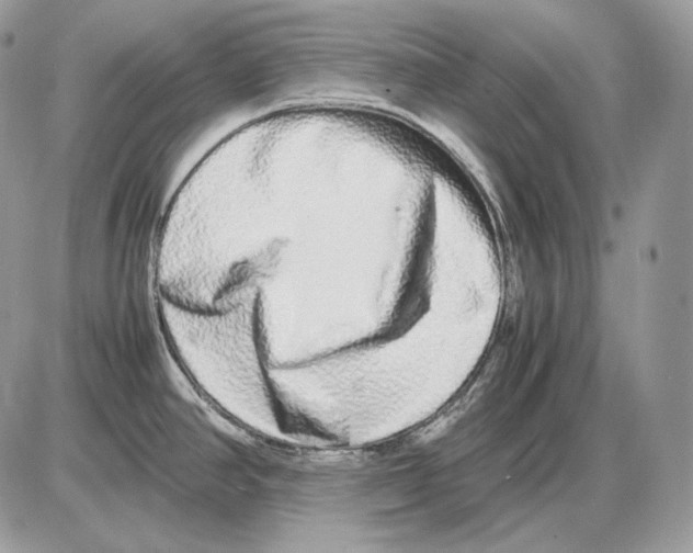 X0000085781390200704131818