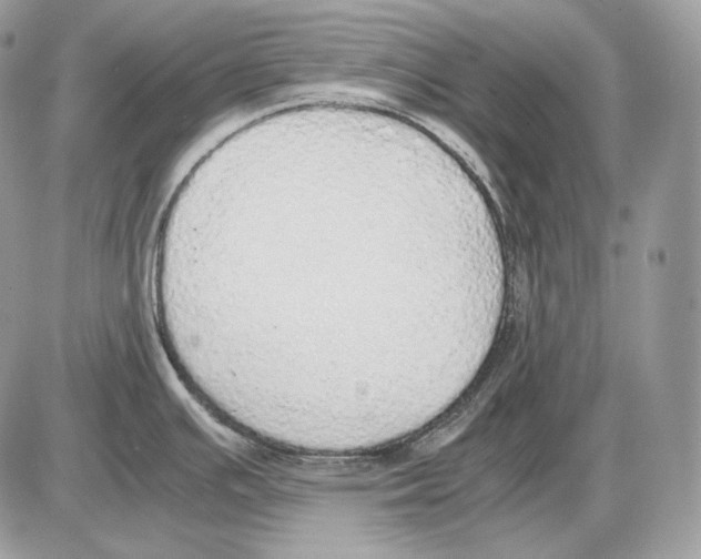 X0000085781391200704131818