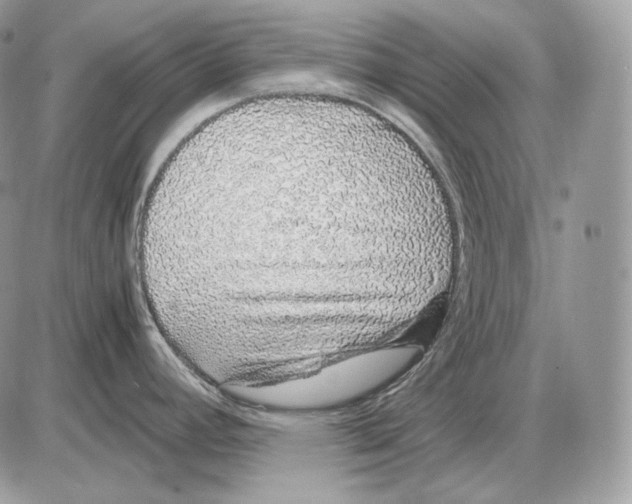 X0000085781392200704131818