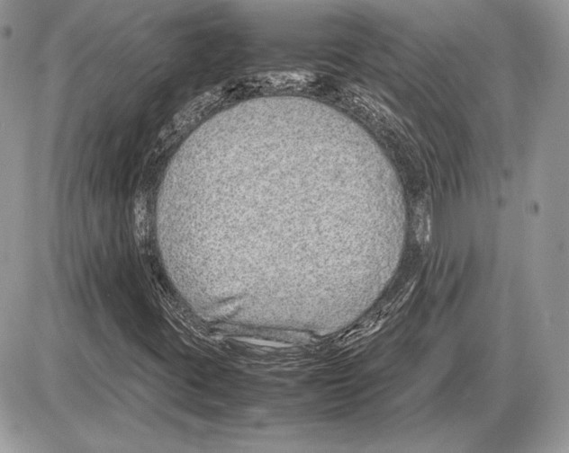 X0000085781395200704131817