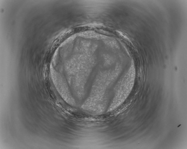 X0000085781398200704131817