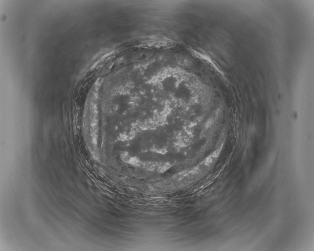 X0000085781399200704131817